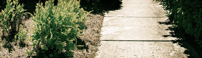 便捷且用户友好的ddos压力在线测试平台